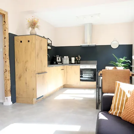 Moselgold-appartements Fankel ברוטיג-פאנקל
