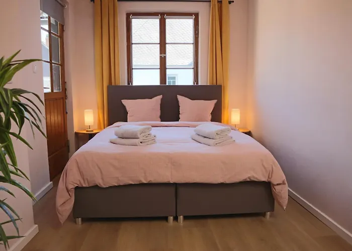 Moselgold-appartements Fankel ברוטיג-פאנקל